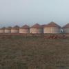 rann resort dholavira