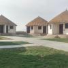 rann resort dholavira