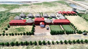rann resort dholavira