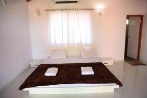 rann resort dholavira