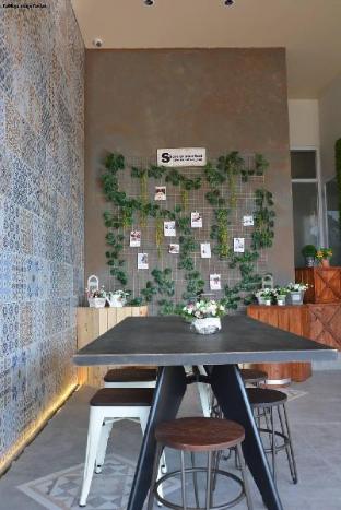butternut tree townhomes
