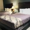 regency inn and suites