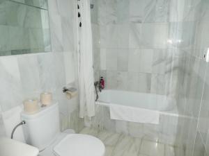 apartamentos catedral plaza 3000