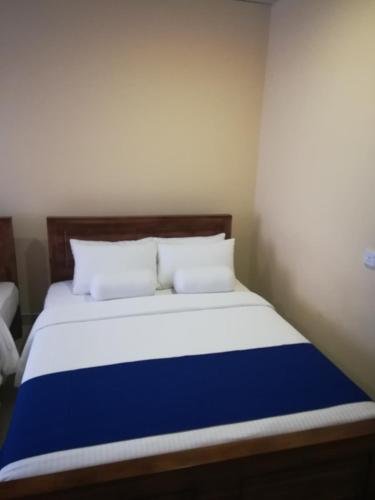 hotel araliya