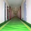 greentree inn zaozhuang shanting jinkeguoji yijiaren hotel