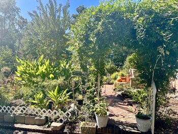 greenwood bed and breakfast