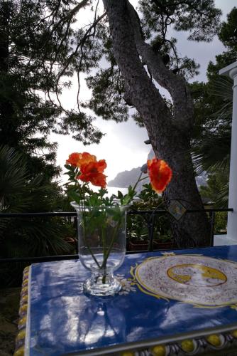 villacore luxury guest house