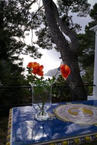 villacore luxury guest house