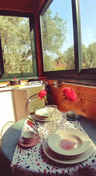 la piana degli ulivi