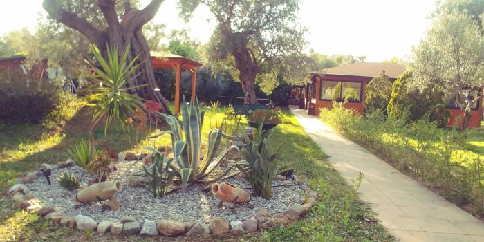 la piana degli ulivi