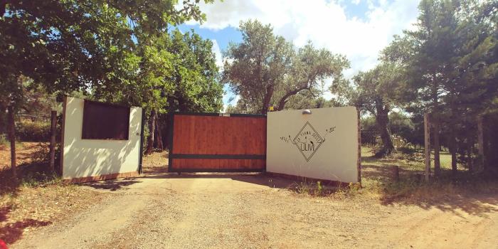 la piana degli ulivi