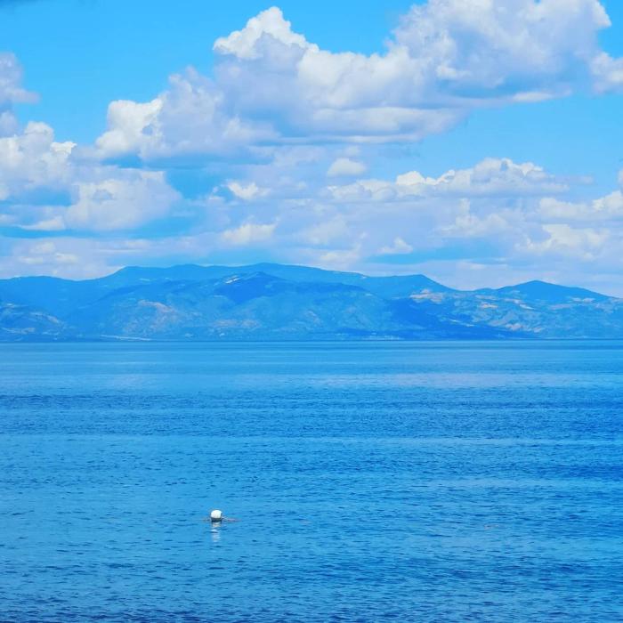 la piana degli ulivi