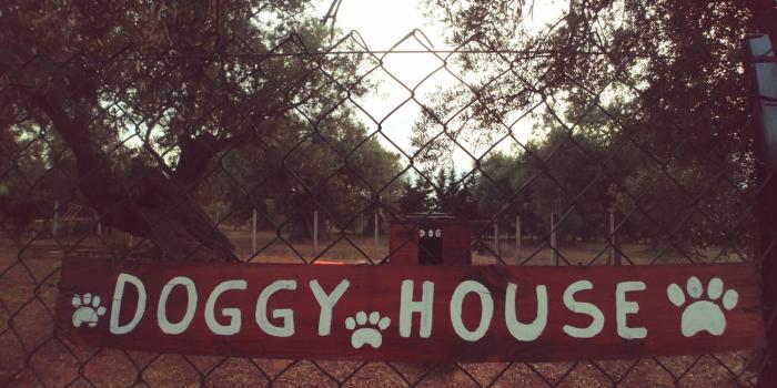 la piana degli ulivi