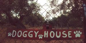 la piana degli ulivi