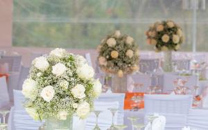 hosteria ojo de agua