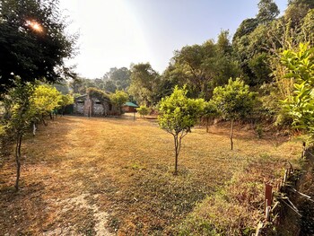 emerald trail