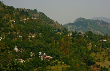 emerald trail