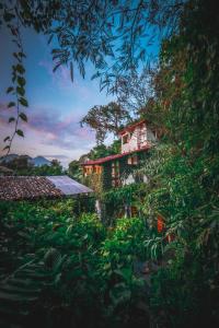 lush atitlan