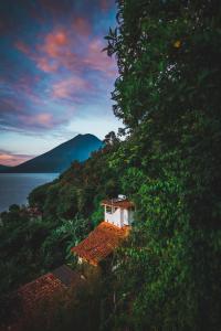 lush atitlan