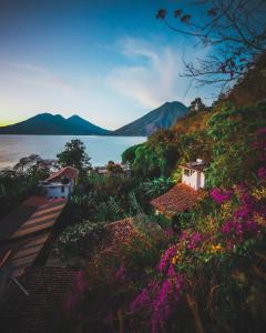 lush atitlan