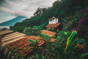 lush atitlan