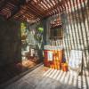 lush atitlan