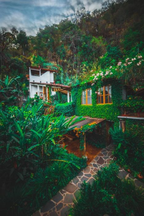 lush atitlan