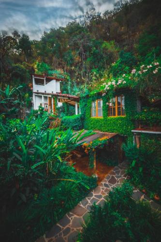 lush atitlan
