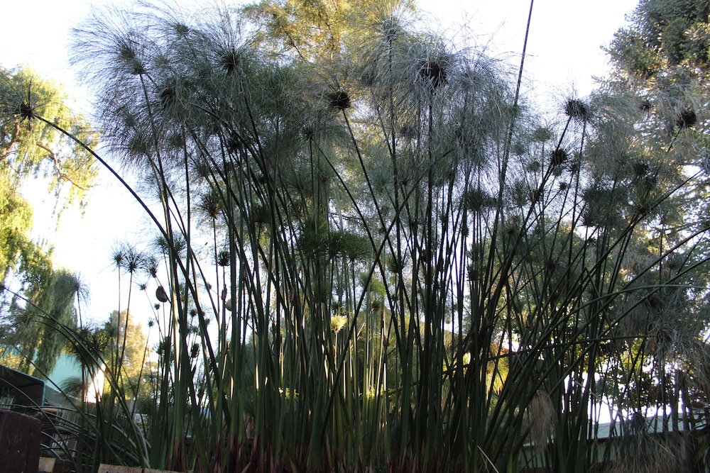 goodnight guest lodge