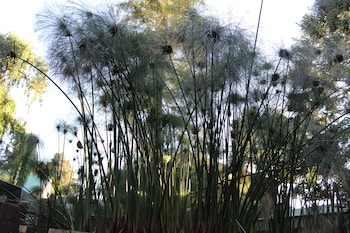 goodnight guest lodge