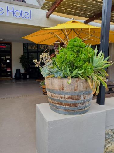 barrydale karoo lodge