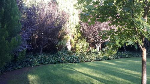 giardino a 194