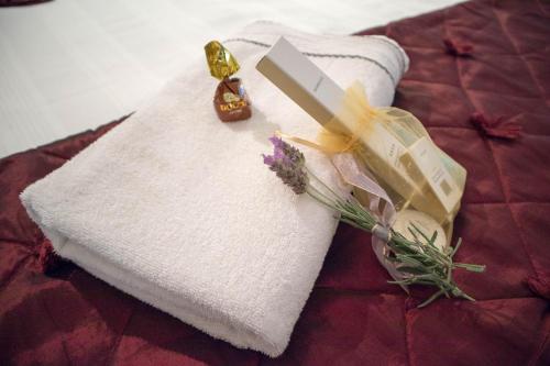 on the summit lodge and conference venue