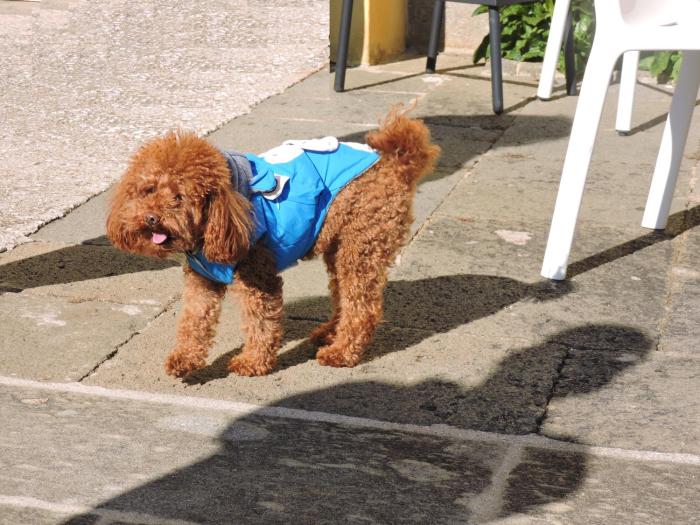 casale fedele family village vicino al borgo