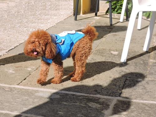 casale fedele family village vicino al borgo