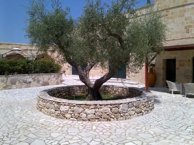 masseria san nicola bandb