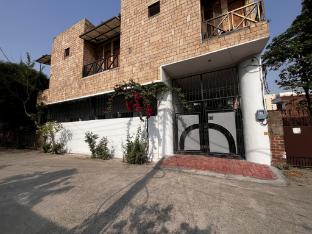 green backpackers hostel adults only