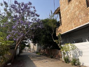 green backpackers hostel adults only