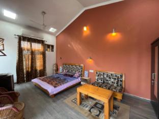 green backpackers hostel adults only