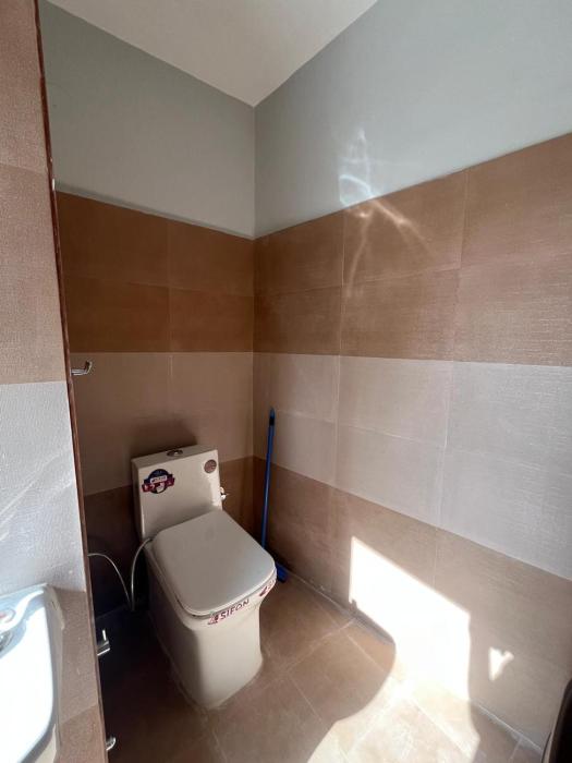 green backpackers hostel adults only