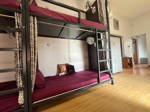 green backpackers hostel adults only