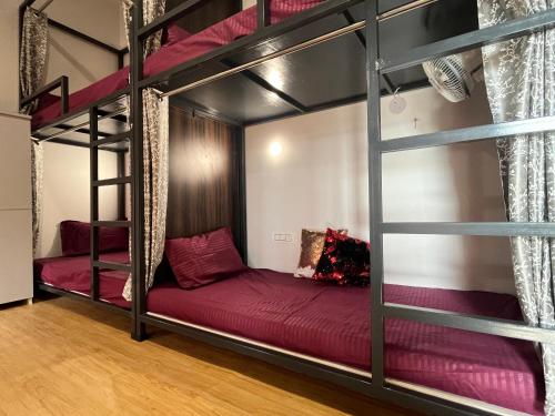 green backpackers hostel adults only