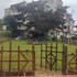 ooty