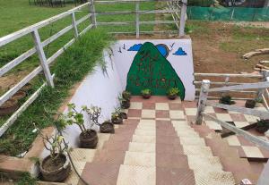 ooty