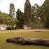 tibasosa