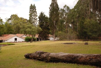 tibasosa
