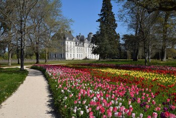 bracieux