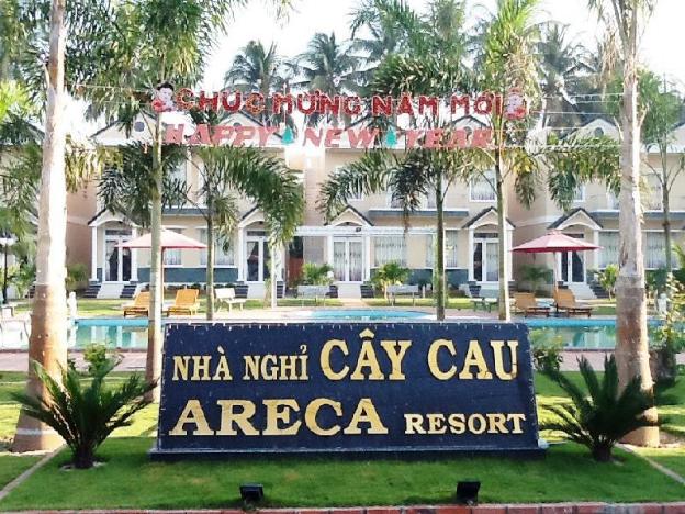 areca resort cay cau