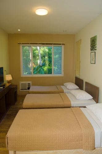 paradiso rito waterfront oasis