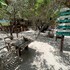 isla holbox